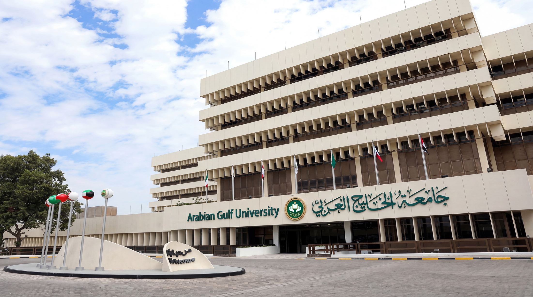 Arabian Gulf University Opens Applications for Professional Fellowship in Healthcare Simulation
