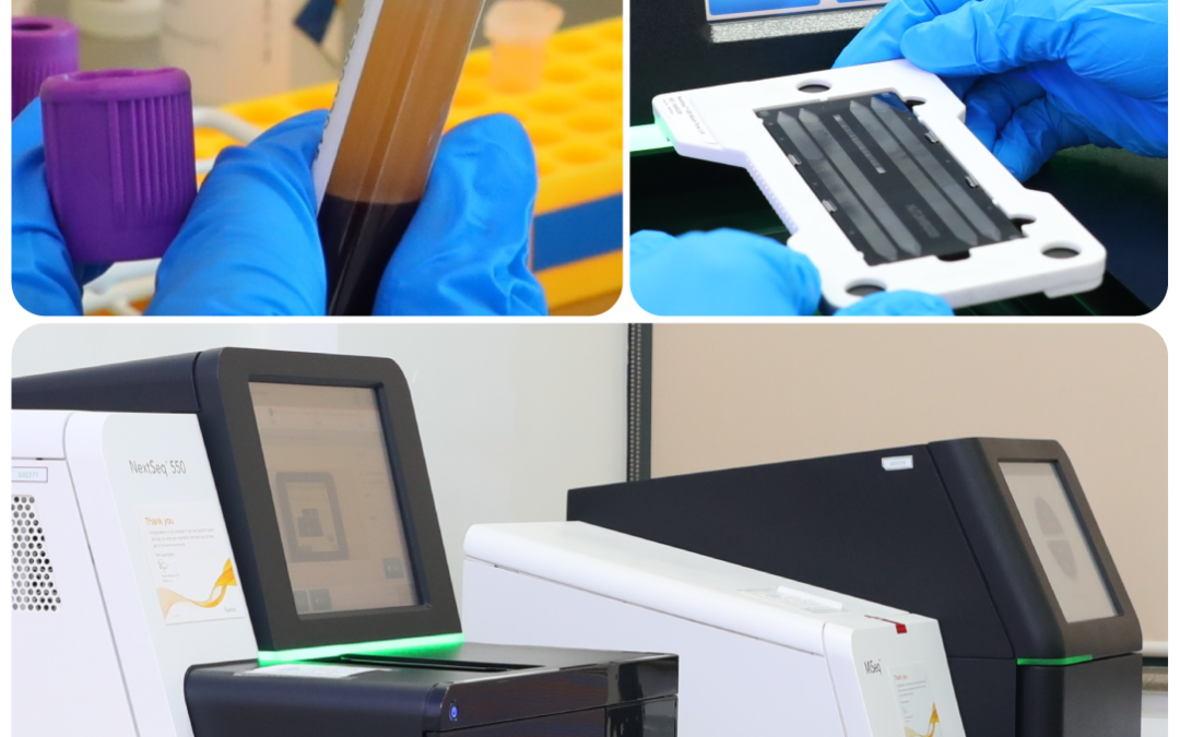 The Molecular Genetics Laboratory at the Princess Al-Jawhara Al-Ibrahim Center for Molecular Medicine, Genetics, and Genetic Diseases at Arabian Gulf University has launched comprehensive genomic testing as a medical service that represents one of the lat