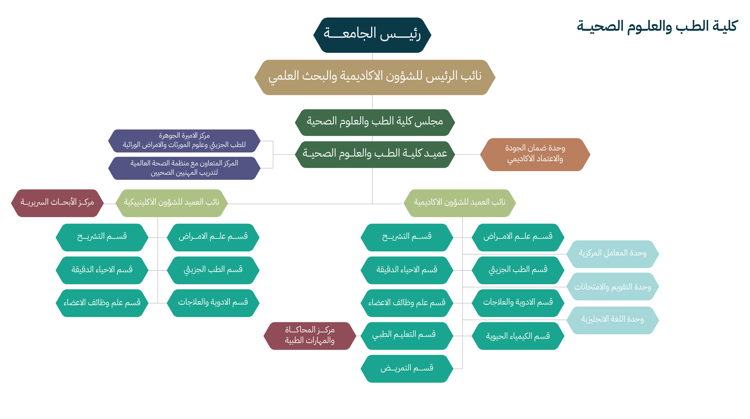 cmhs-org-ar